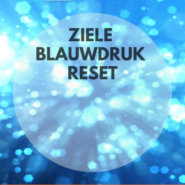 ziele blauwdruk reset